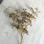 Faux Brown Meadow Grass Stems.