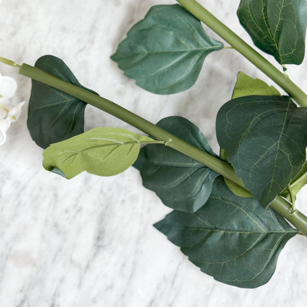 White Limelight Hydrangea Stem