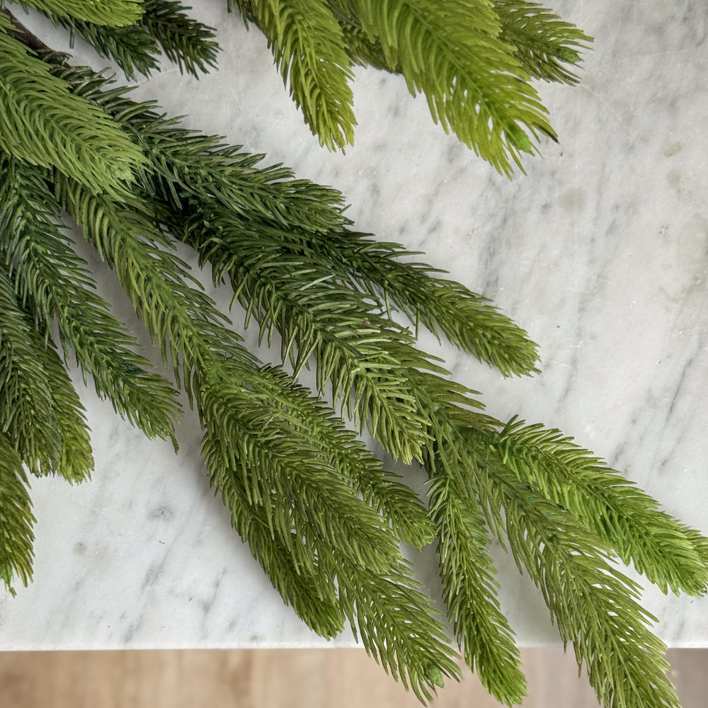 Spruce Branch.