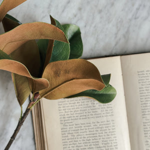 Large Magnolia Faux Stem.