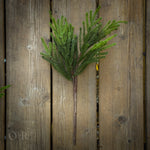 Pine Spray.