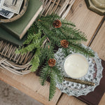 Balsam Fir Stem with pinecones.