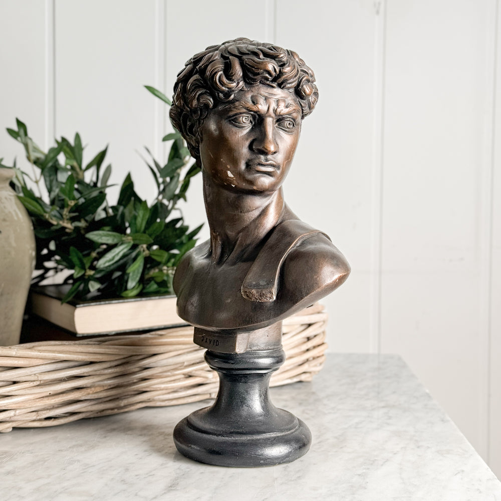 Vintage bronze colour David statue.