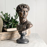 Vintage bronze colour David statue.