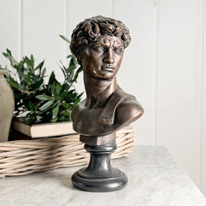 Vintage bronze colour David statue.