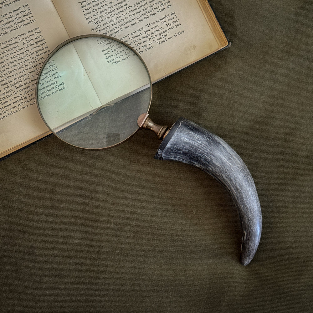 Vintage horn handle magnifying glass.