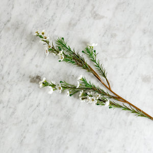 Faux Wax Flower.