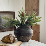 Spruce Stem with pinecones.