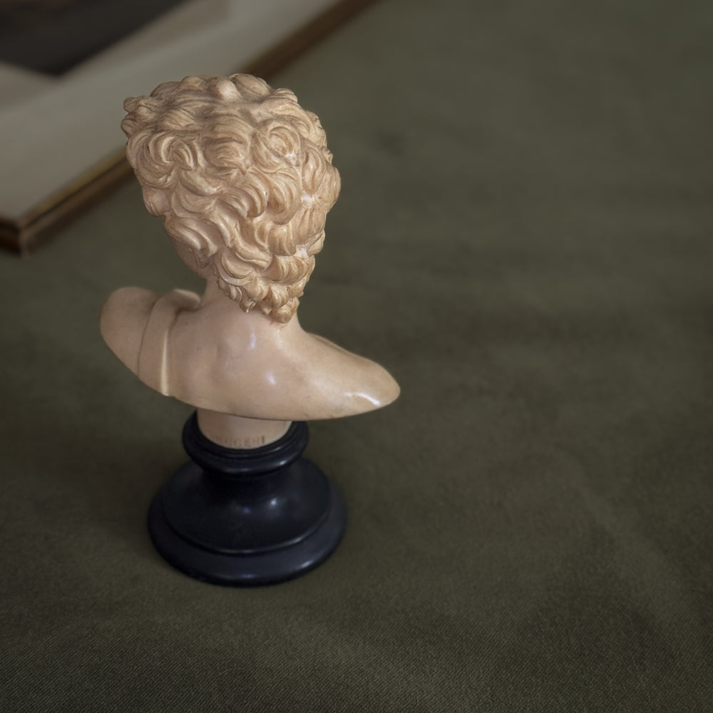 Vintage David bust.