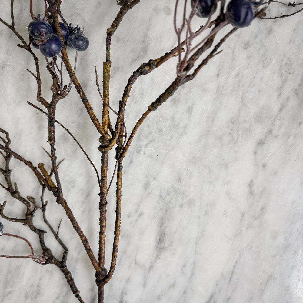 Winter Berry Stem.