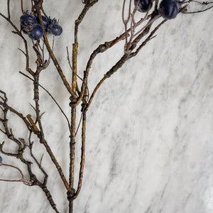 Winter Berry Stem.