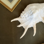 Vintage large white conch shell