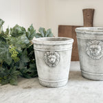 Concrete Lion Planter- two sizes available.
