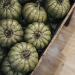 Olive green rustic pumpkin