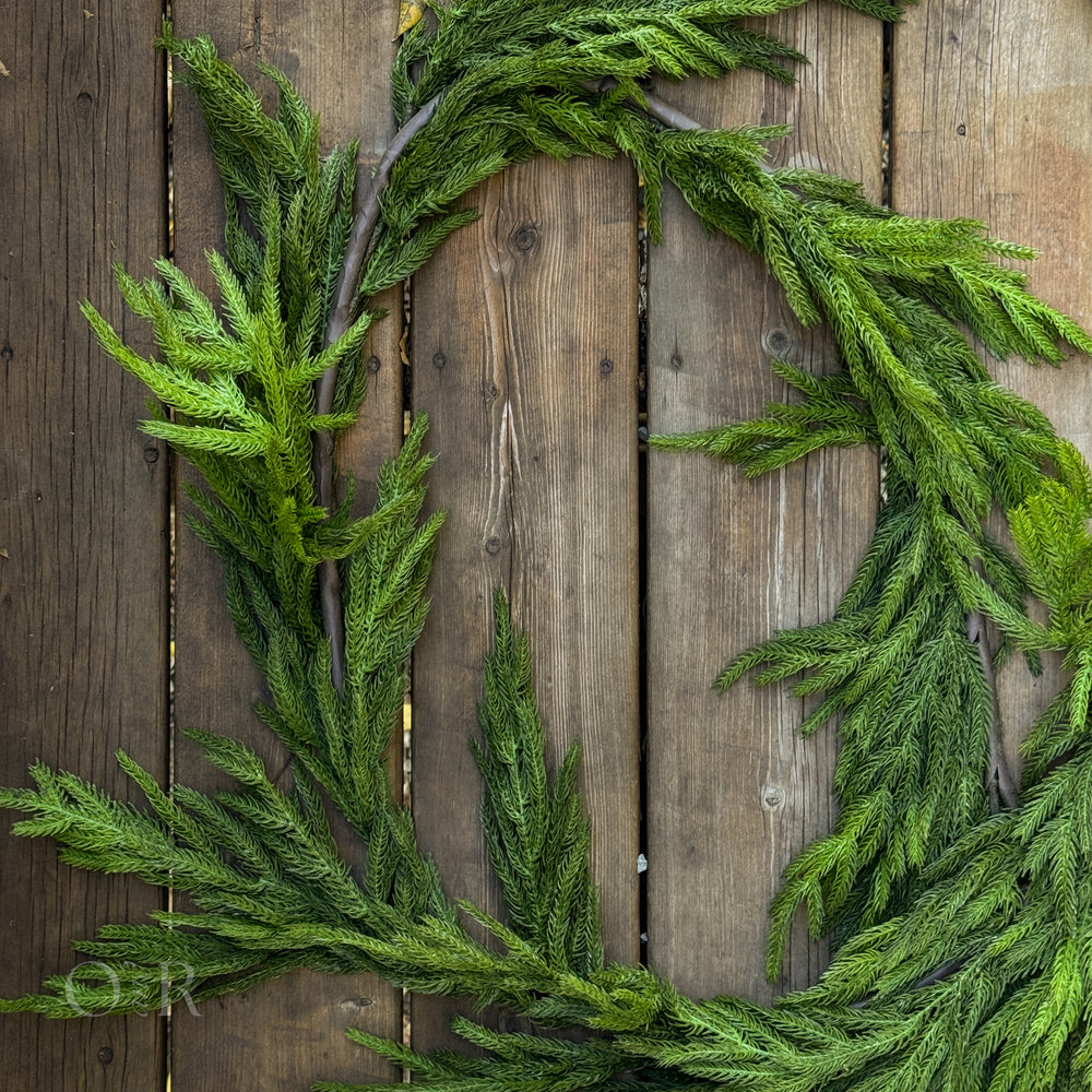 Long Norfolk Pine Garland.