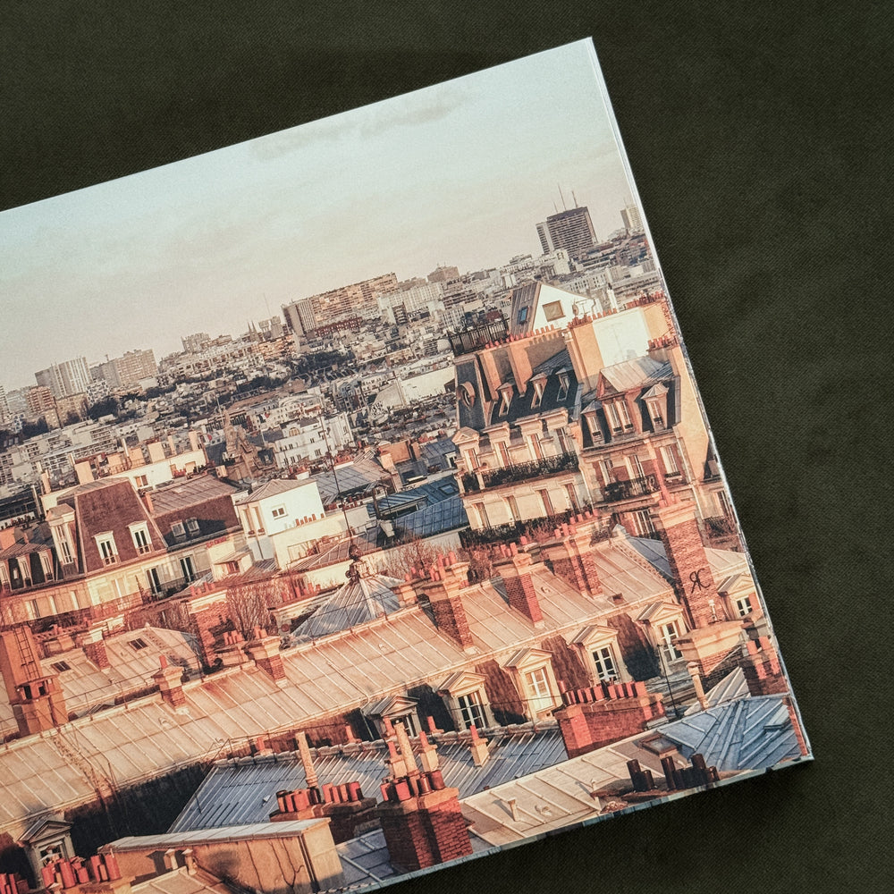 Rooftop Paris: A Panoramic View of the City by Laurent Dequick