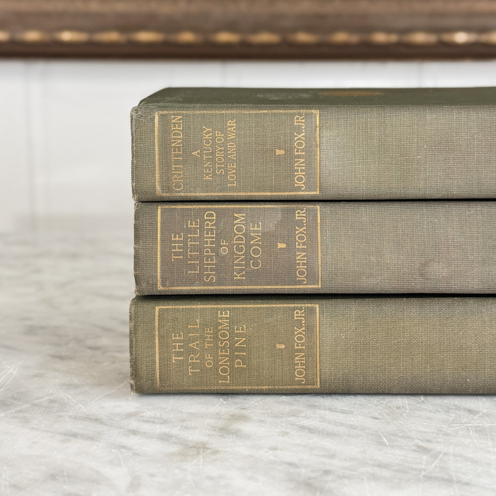 Antique 1910 John Fox Jr green book