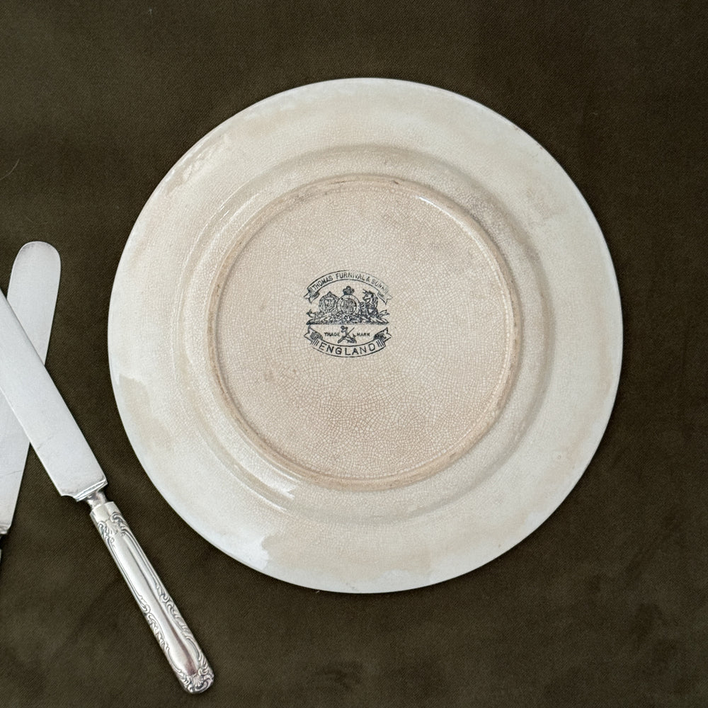 Antique Ironstone Plate.