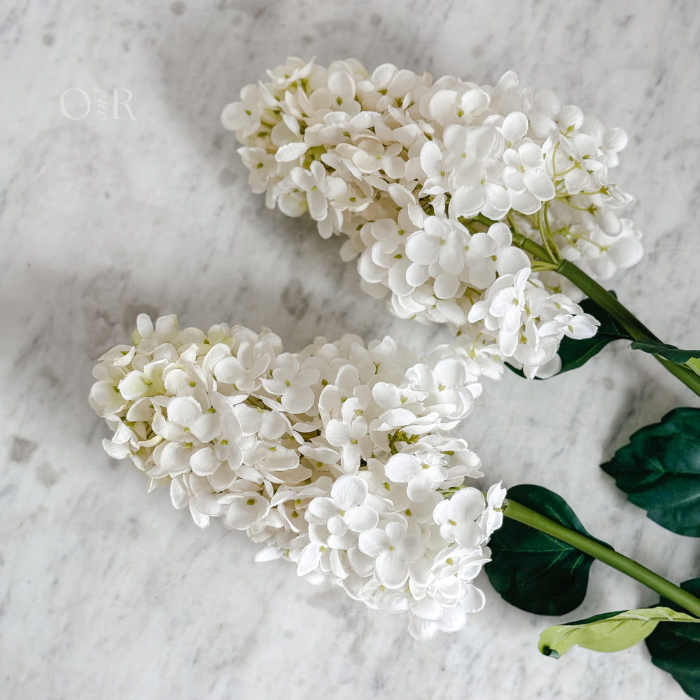 White Limelight Hydrangea Stem