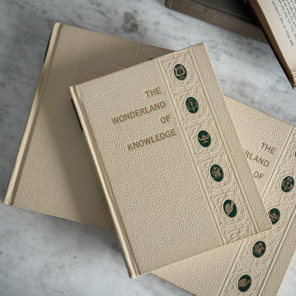 The Wonderland of Knowledge vintage book