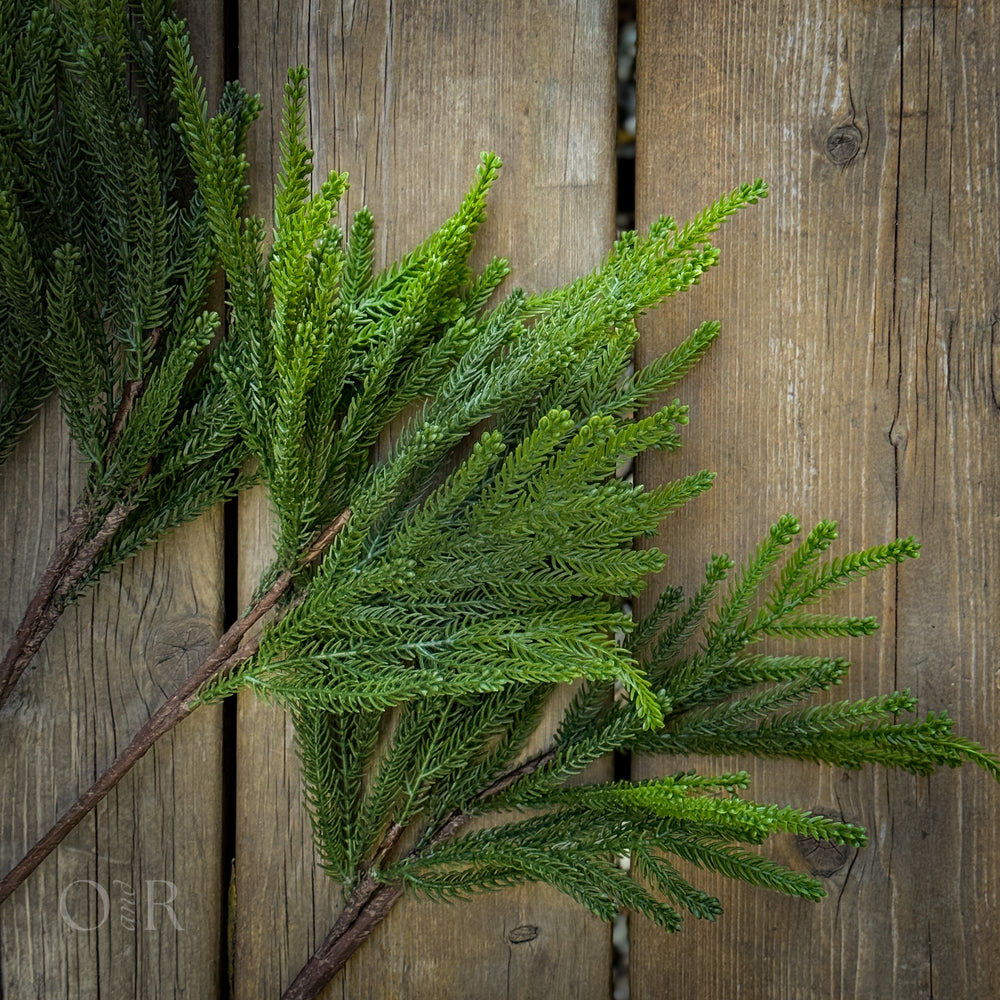 Pine Spray.