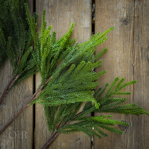 Pine Spray.