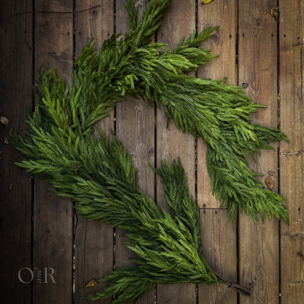 Thick Norfolk Pine Garland.
