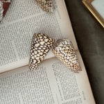 Vintage PAIR brown and white cowrie shells