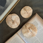 Vintage round fan white shell