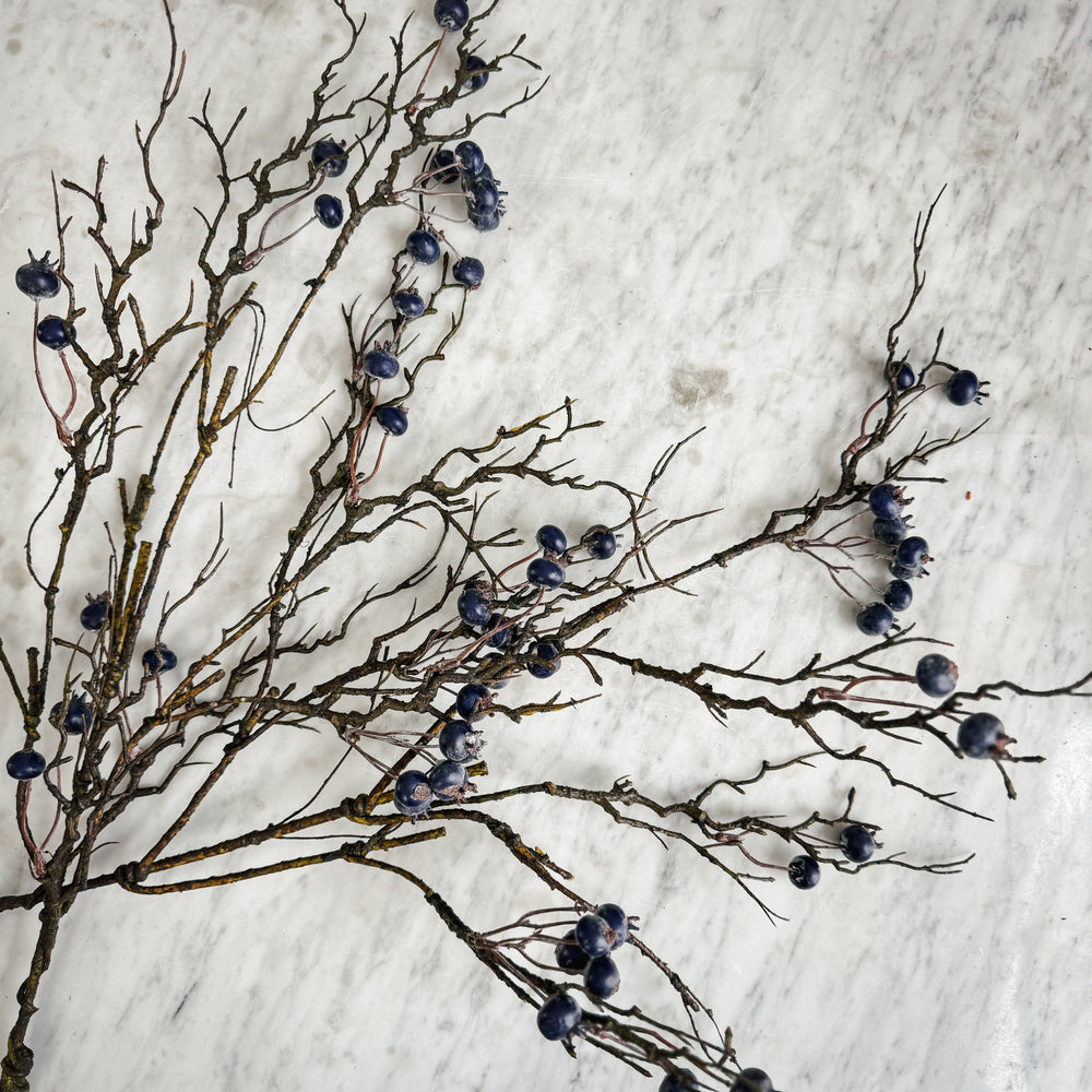 Winter Berry Stem.