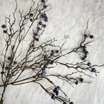 Winter Berry Stem.