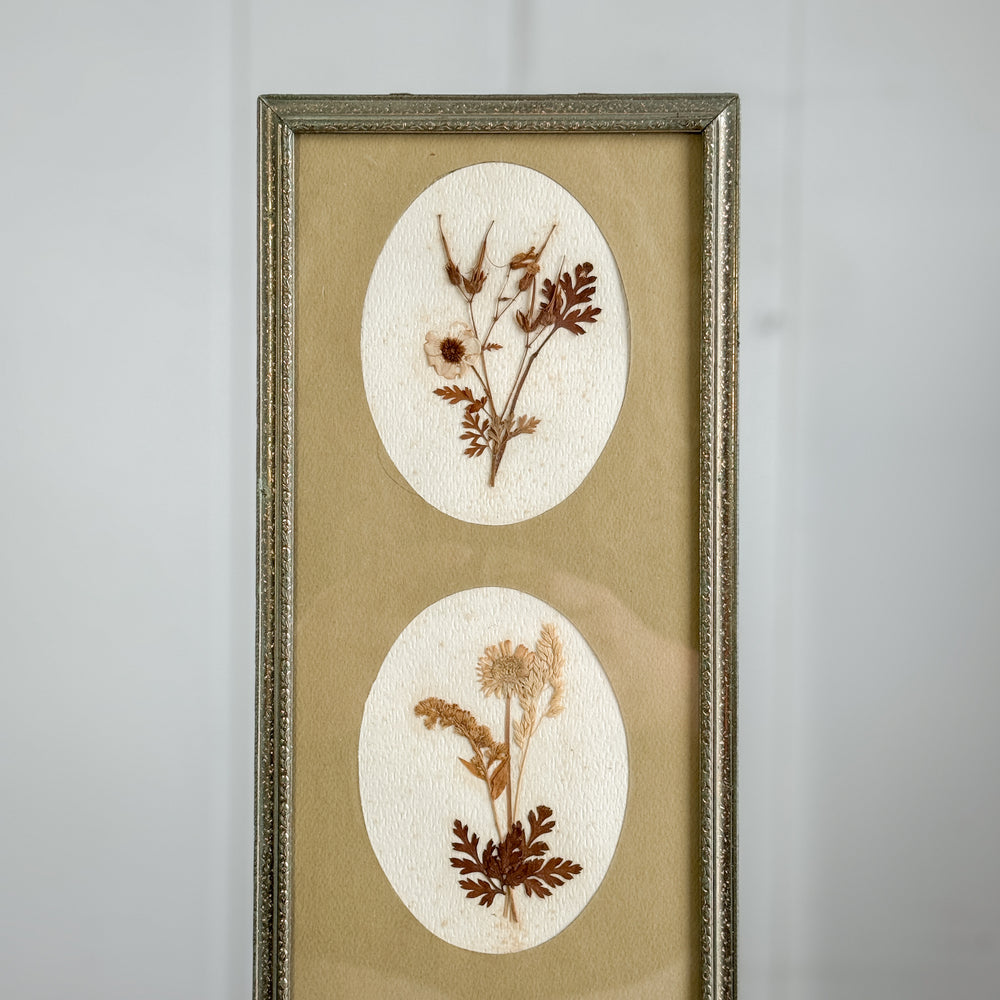 Vintage Pressed Botanical.