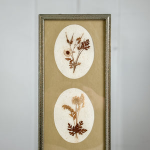 Vintage Pressed Botanical.