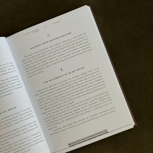 The Train Traveller's Handbook- A Guide to Europe's Tracks.