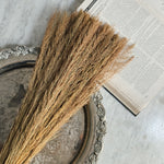 Vintage Dried Grass Bundle.
