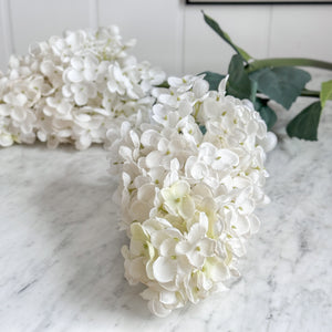 White Limelight Hydrangea Stem