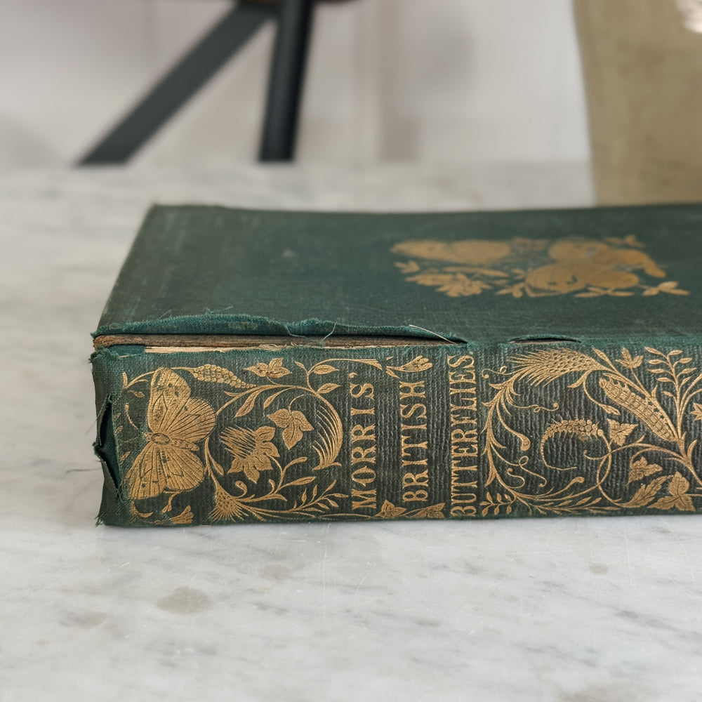 Antique Gold A History of British Butterflies Book