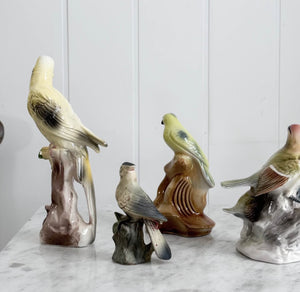 Vintage Porcelain Painted Birds