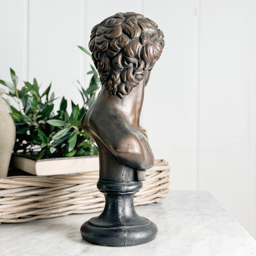 Vintage bronze colour David statue.