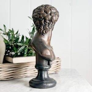Vintage bronze colour David statue.