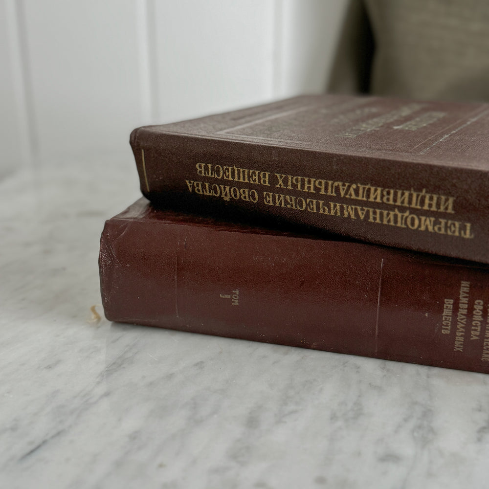 Vintage Brown Book Pair.