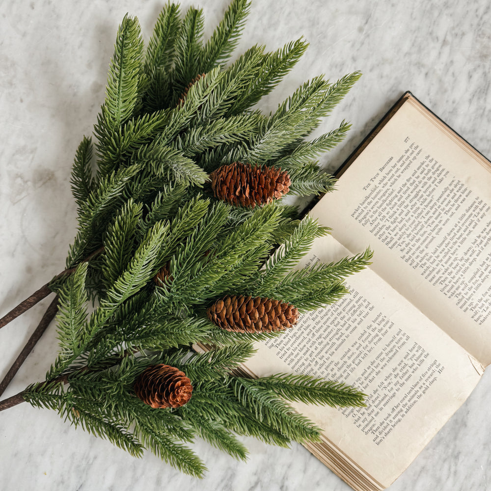 Spruce Stem with pinecones.