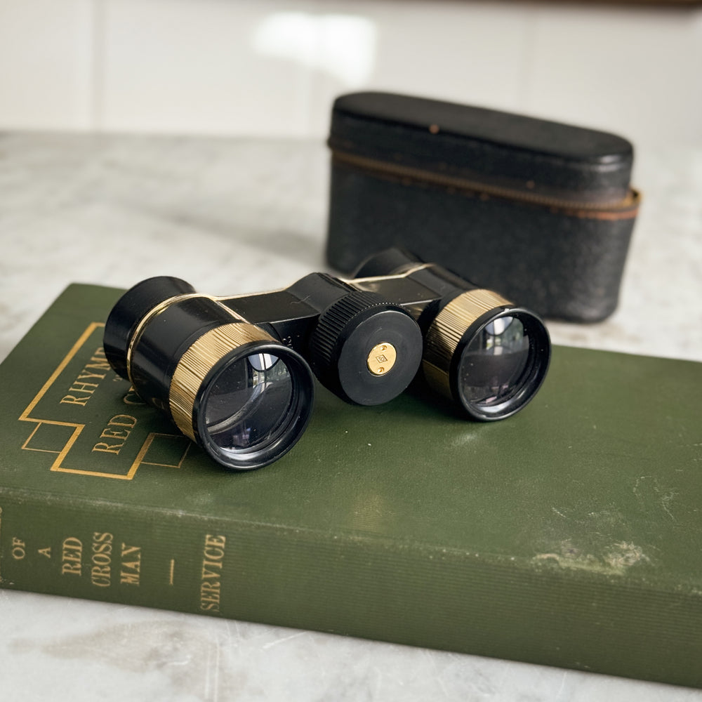 Vintage Opera Glasses in Case.