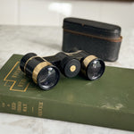 Vintage Opera Glasses in Case.