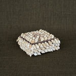 Vintage Shell Box.