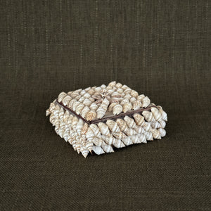 Vintage Shell Box.