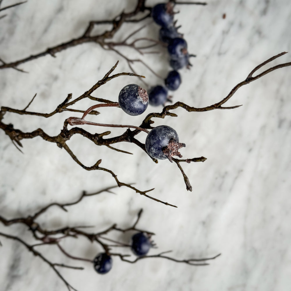 Winter Berry Stem.