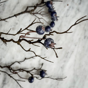 Winter Berry Stem.