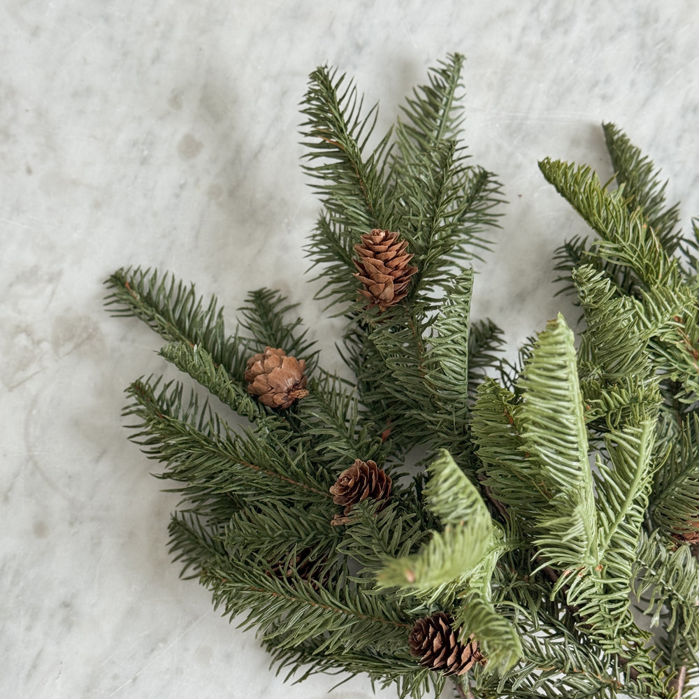 Balsam Fir Stem with pinecones.