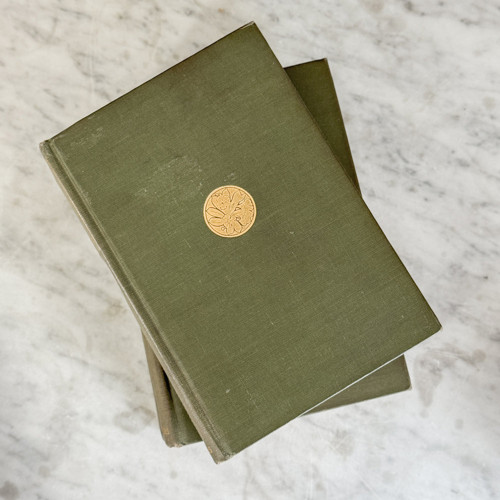 Antique 1910 John Fox Jr green book